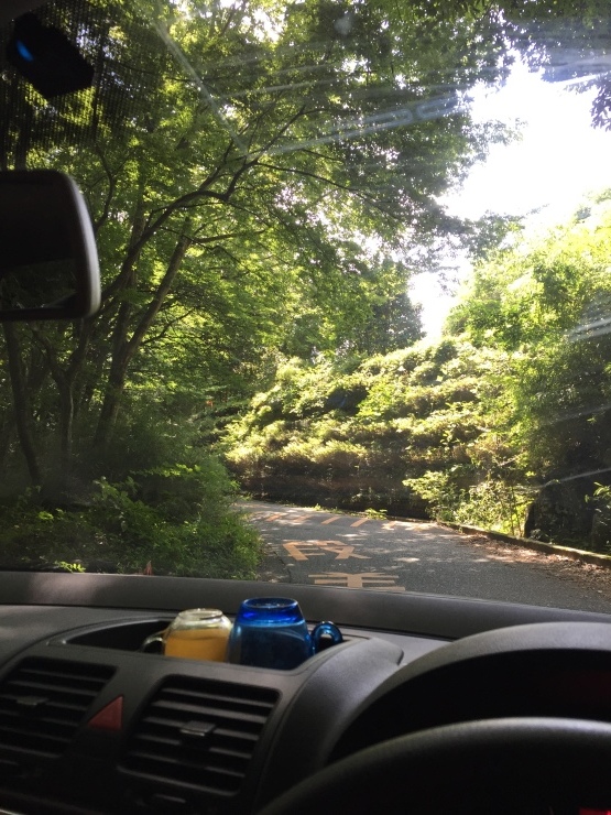 2017年8月28日 箱根 熱海 箱根_b0098584_19131709.jpg