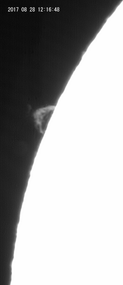 8月28日の太陽_e0174091_17212331.jpg