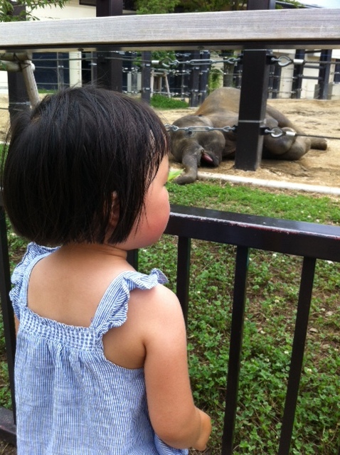 été 2017-2_b0195292_12255386.jpeg