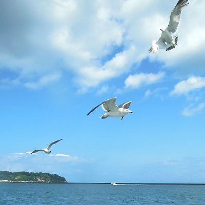 小樽_b0055196_20500039.jpg