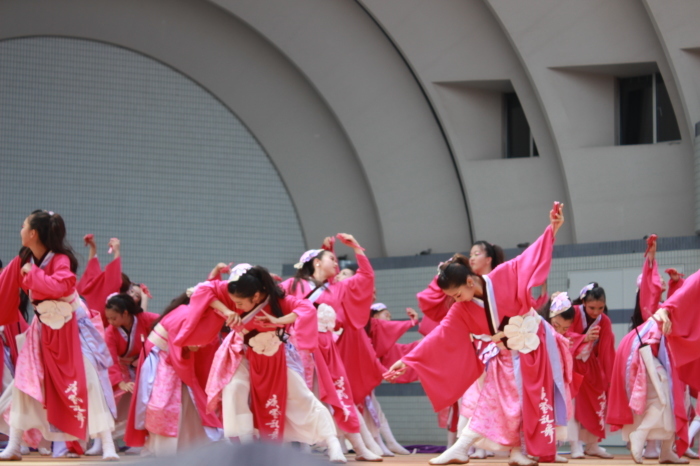 原宿表参道元氣祭 スーパーよさこい2017③_d0337698_22572765.jpg