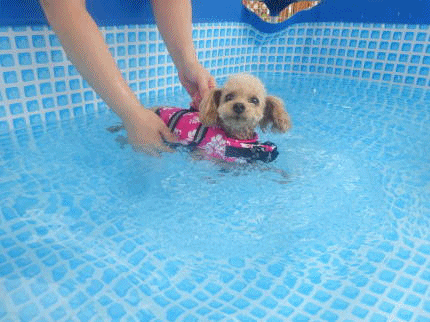 a0338800_21523642.gif