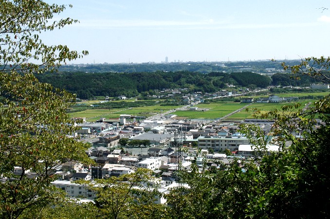 d0140806_103783.jpg
