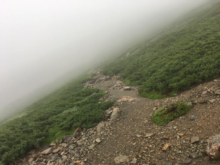 2017 夏休み一人登山 南アルプス南部 その2_e0000910_09124805.jpg