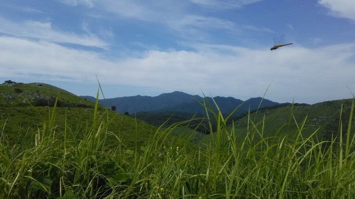 c0378111_13080165.jpg