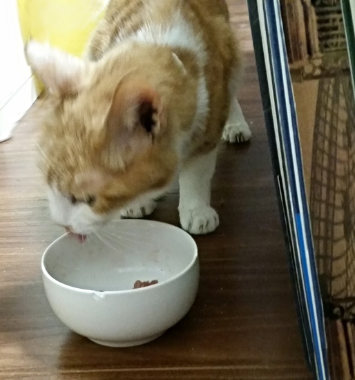 e0144012_10484881.jpeg
