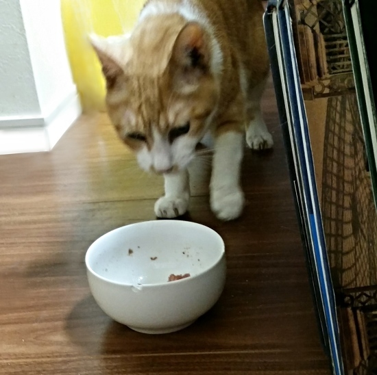 e0144012_10493401.jpeg
