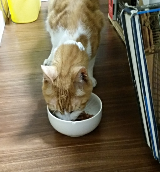 e0144012_10503357.jpeg