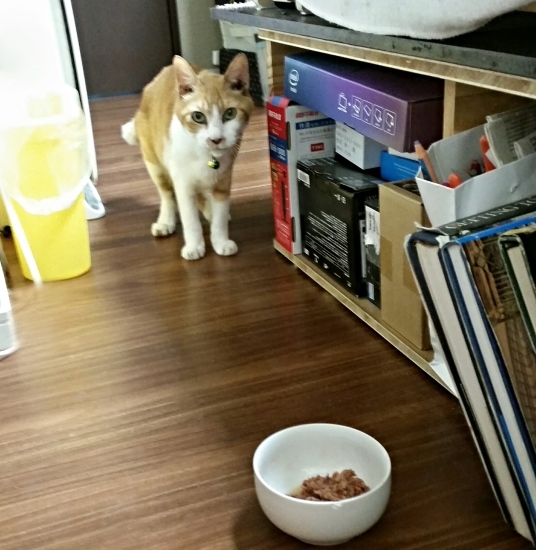 e0144012_10514868.jpeg