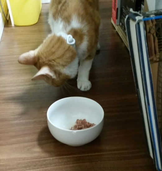 e0144012_10571974.jpeg
