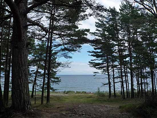 c0009413_23395248.jpg