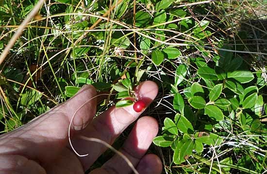 c0009413_23531951.jpg
