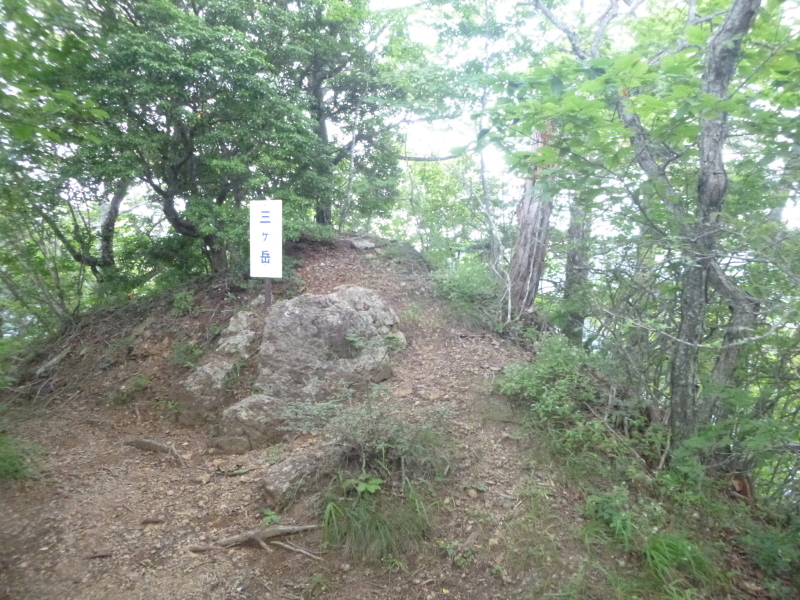 西湖湖畔　人気の山、十二ｹ岳 (1,683M)  登頂する_d0170615_17233075.jpg