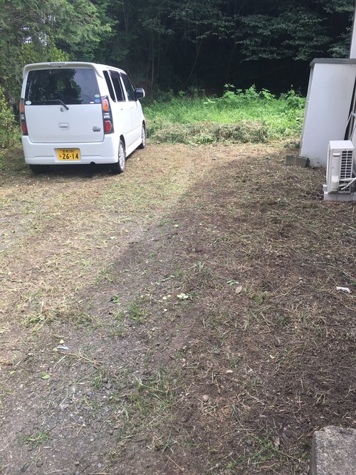 草刈り_e0124021_1793182.jpg