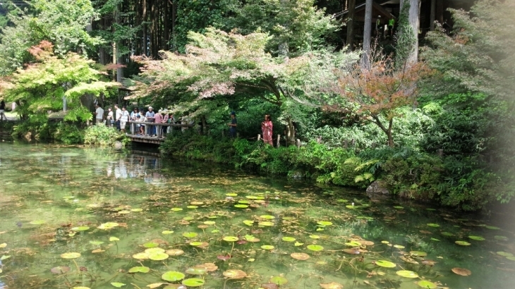 c0173826_10135193.jpg