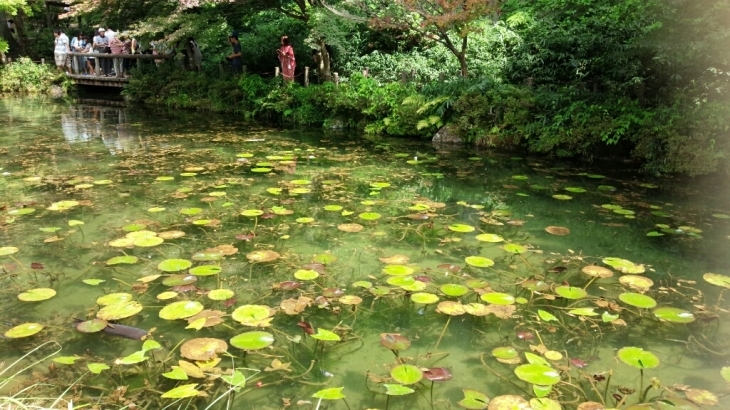 c0173826_10135463.jpg
