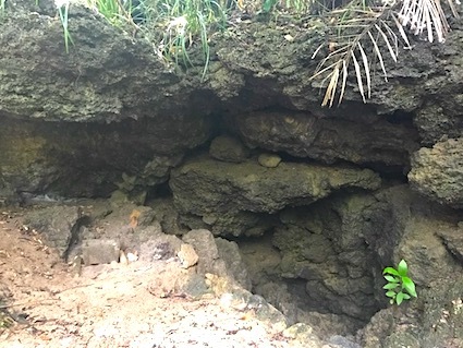 六甲山と瀬織津姫 128 猿田彦の島_a0300530_15465931.jpg