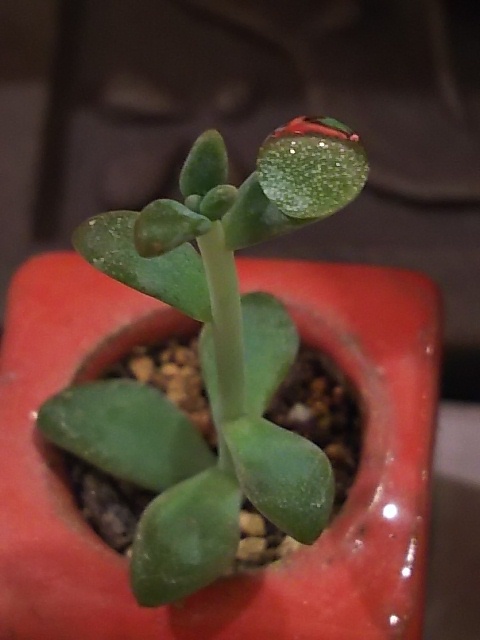 e0295731_10084259.jpg