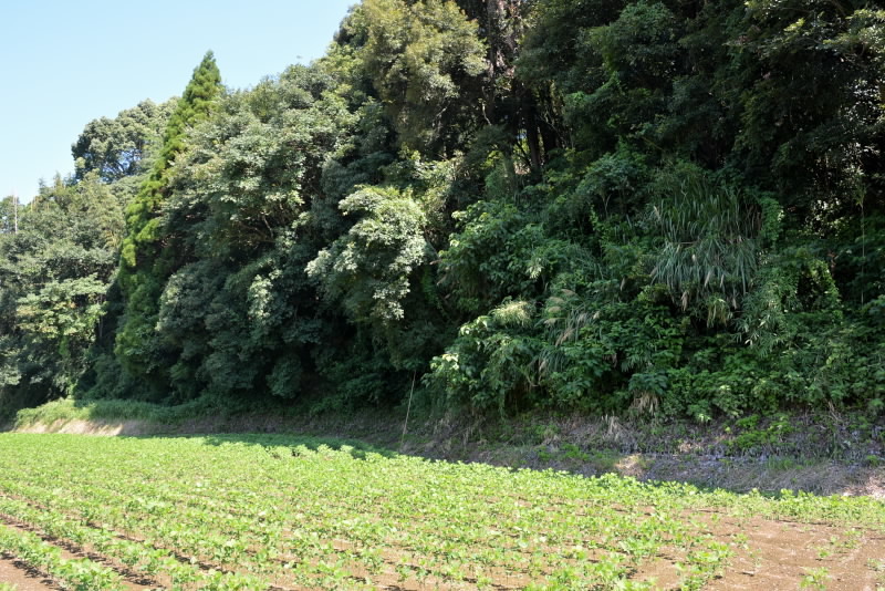 中山横穴古墳群へ_e0056537_20252311.jpg