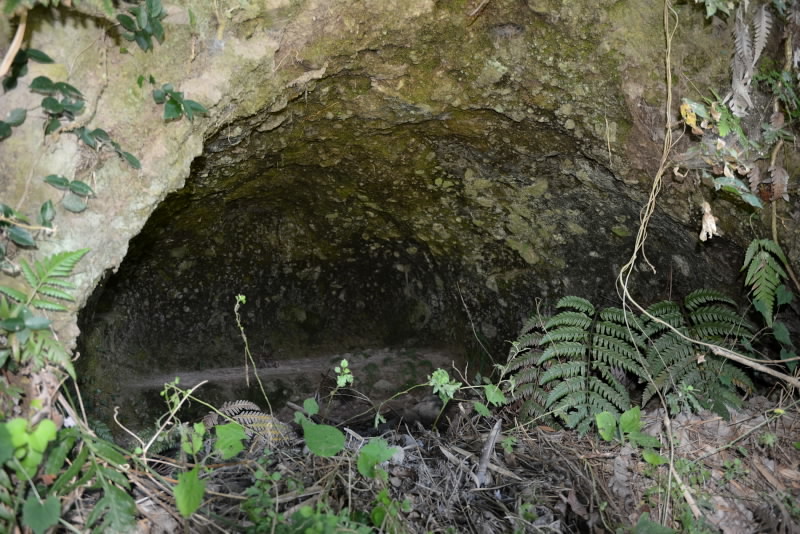 e0056537_20252332.jpg