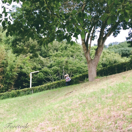 Cet été_f0377243_10505352.jpg