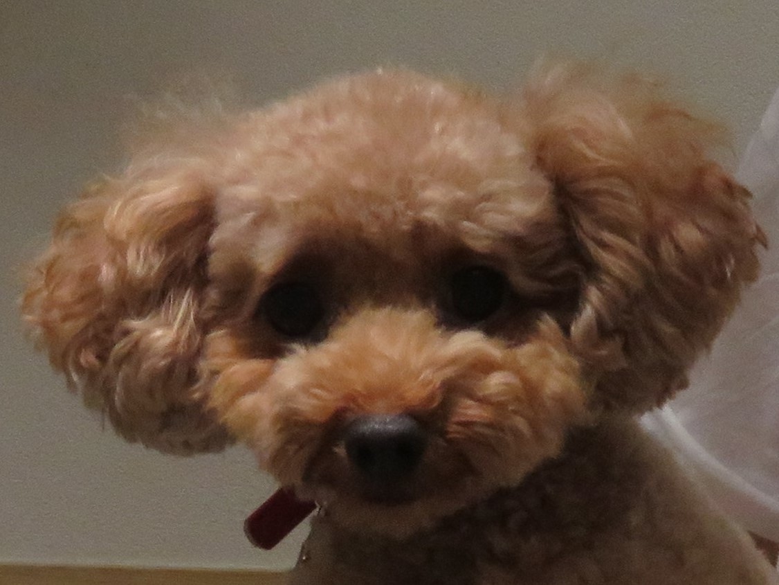 8 月 29 日の写真_c0174644_10175438.jpg