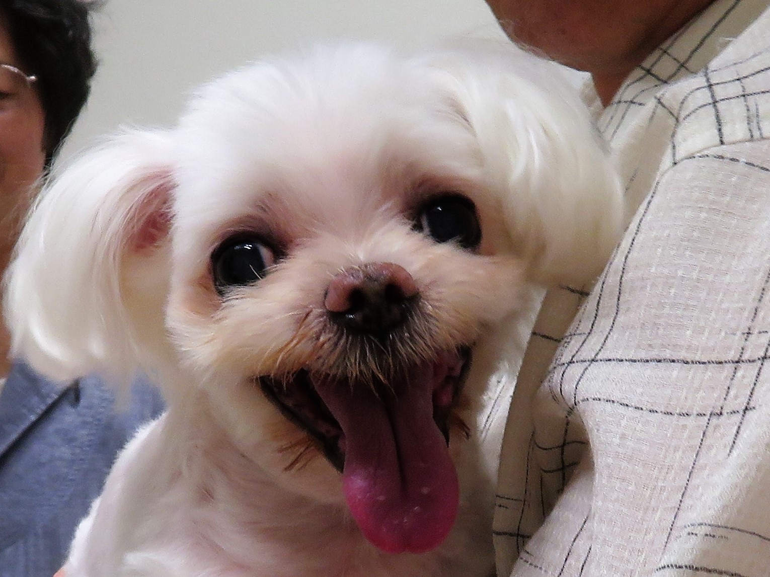 8 月 29 日の写真_c0174644_11522120.jpg