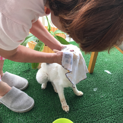 朝ごはん後の顔拭き_a0028451_17564083.jpg