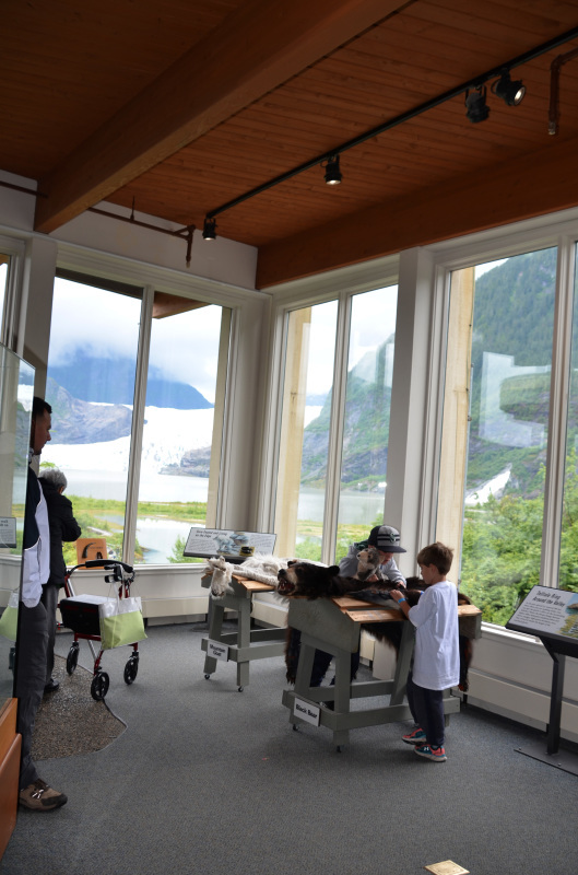 メンデンホール氷河（Mendenhall glacier）のビジターセンターを満喫。：ルビープリンセスアラスカクルーズ_f0054556_00424083.jpg