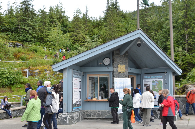 メンデンホール氷河（Mendenhall glacier）のビジターセンターを満喫。：ルビープリンセスアラスカクルーズ_f0054556_21022123.jpg