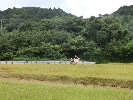 ’17,8,29(月)北朝鮮が突然、ミサイル発射って!_f0060461_06543044.jpg