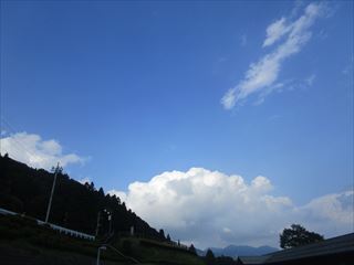 d0045362_10170045.jpg