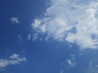d0045362_10170801.jpg