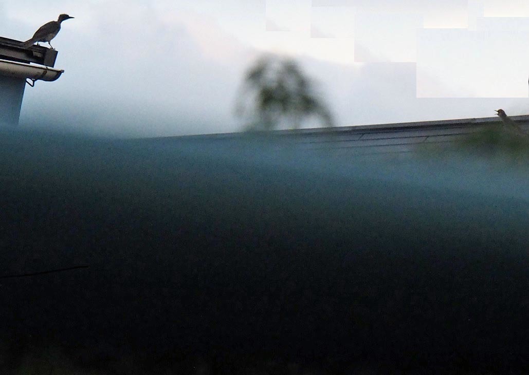 e0064763_12231400.jpg