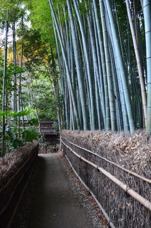 京都パンパン赤線時代 二十三_f0347663_12204274.jpg