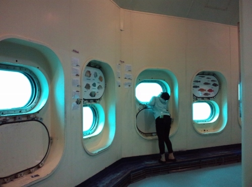 f0367170_18293676.jpg