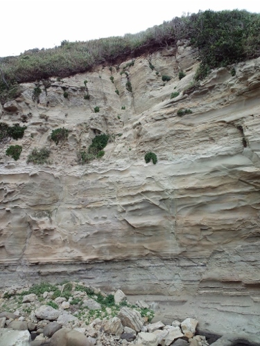 f0367170_18492493.jpg