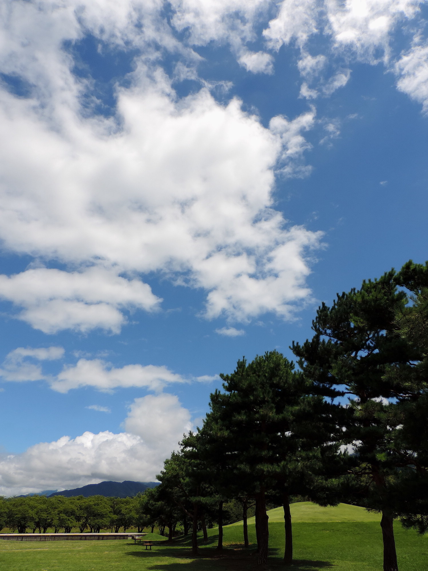 長野そぞろ歩き：川中島古戦場史跡公園_f0049074_05165327.jpg