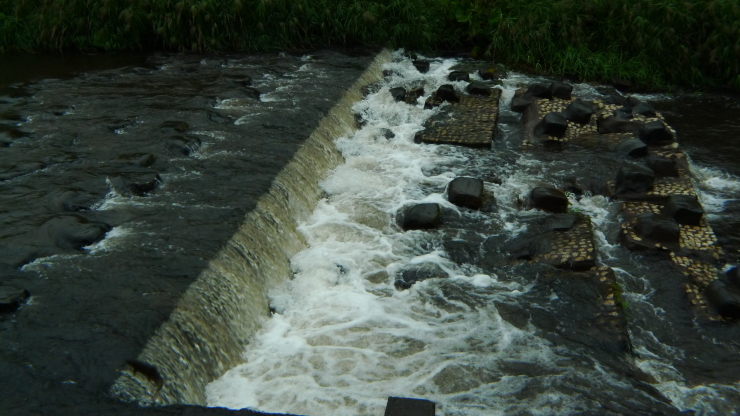 c0212083_19464181.jpg