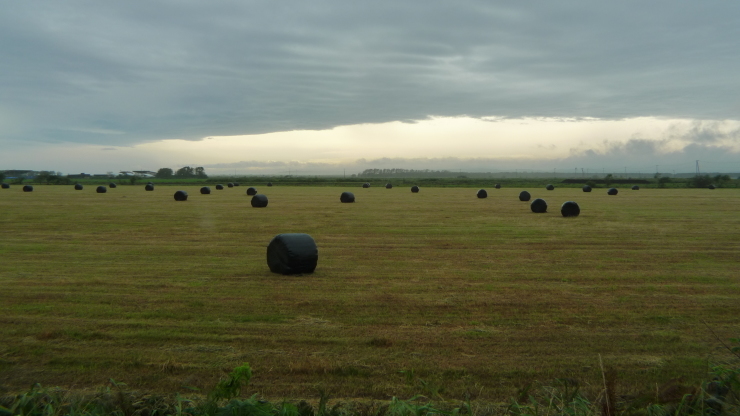 つるいキャンプ場～白糠町～広尾町　北海道73日目_c0212083_19482972.jpg