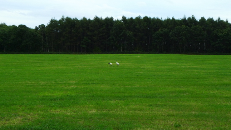 つるいキャンプ場～白糠町～広尾町　北海道73日目_c0212083_19510003.jpg