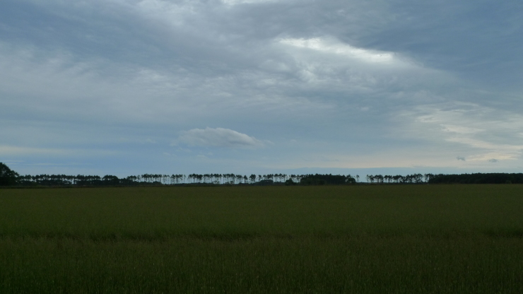 つるいキャンプ場～白糠町～広尾町　北海道73日目_c0212083_19513555.jpg