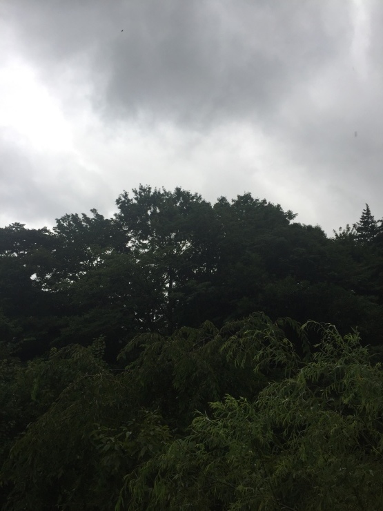 2017年8月29日 大きな月二つ_b0098584_15215273.jpg
