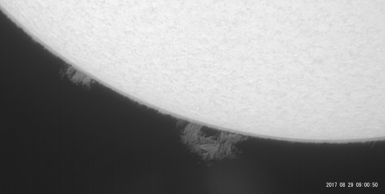 8月29日の太陽_e0174091_16172274.jpg