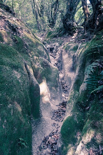 e0176993_06030859.jpg