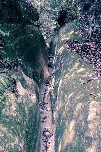 e0176993_06030912.jpg