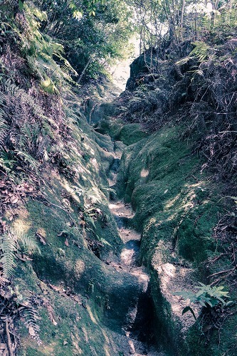 e0176993_06030913.jpg
