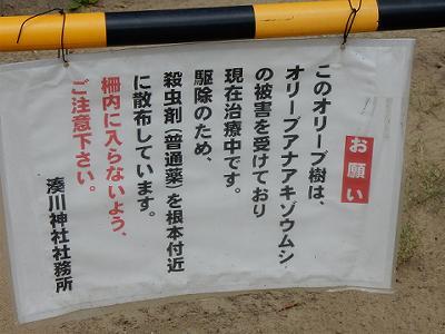 b0051598_21161376.jpg