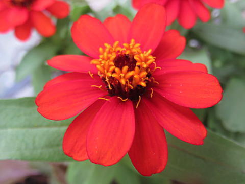 d0046702_07083453.jpg