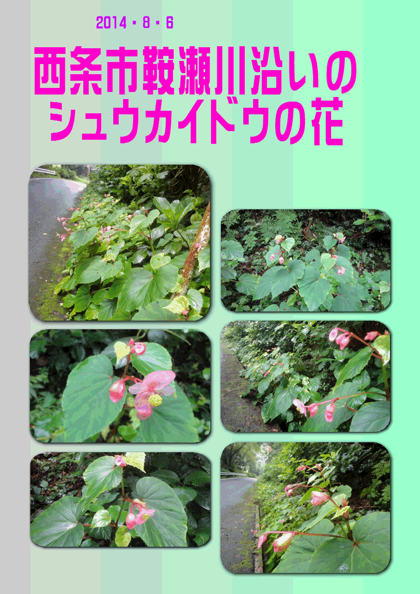 f0231709_14334116.gif